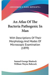 An Atlas of the Bacteria Pathogenic in Man