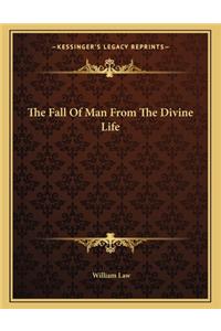 The Fall of Man from the Divine Life