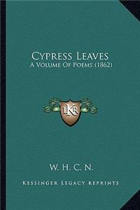 Cypress Leaves