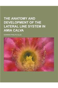 The Anatomy and Development of the Lateral Line System in Amia Calva