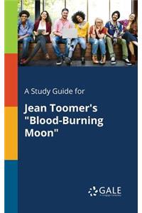 Study Guide for Jean Toomer's "Blood-Burning Moon"