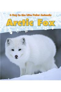 Day in the Life Polar Animals Arctic Fox