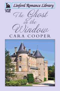 The Ghost in the Window