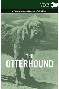 The Otterhound - A Complete Anthology of the Dog