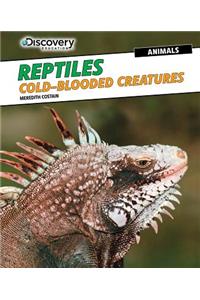 Reptiles: Cold-Blooded Creatures