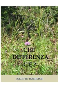 Che differenza c'è ?