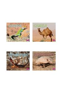 Meet Desert Animals