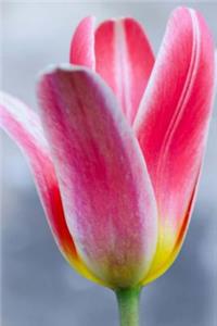 Mind Blowing Pink Flower Journals