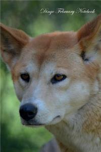 Dingo February Notebook Dingo Record, Log, Diary, Special Memories, To Do List, Academic Notepad, Scrapbook & More