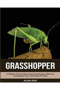 Grasshopper