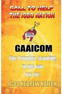 Call To Help The Igbo Nation