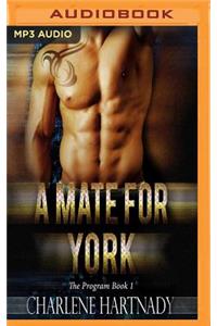 Mate for York