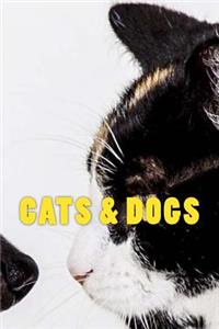Cats & Dogs