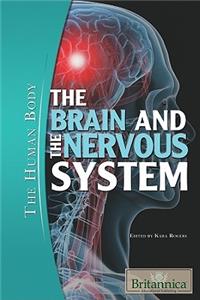Brain and the Nervous System
