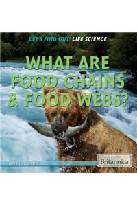 What Are Food Chains & Food Webs?