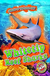 Whitetip Reef Sharks