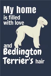 My home is filled with love and Bedlington Terrier's hair