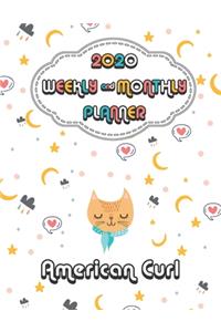 2020 American Curl Cat Planner