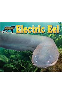 Electric Eel