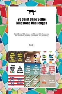 20 Saint Dane Selfie Milestone Challenges: Saint Dane Milestones for Memorable Moments, Socialization, Indoor & Outdoor Fun, Training Book 1