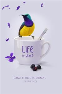 Gratitude Journal for 100 Days