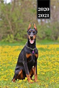 Doberman Dog Calendar Week Planner 2020 / 2021 - Dandelion