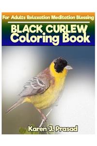 BLACK CURLEW Coloring book for Adults Relaxation Meditation Blessing