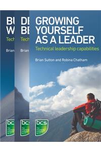 Leadership in IT bundle