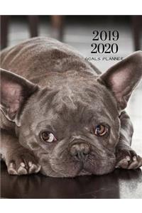 2019 2020 French Bulldog 15 Months Daily Planner