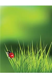 Ladybug Grass Grid Sketchbook: Sketch Book Notebook