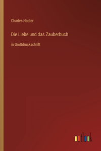 Liebe und das Zauberbuch: in Großdruckschrift