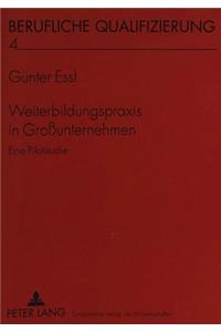 Weiterbildungspraxis in Grounternehmen