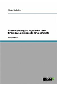 Ökonomisierung der Jugendhilfe - Die Finanzierunginstrumente der Jugendhilfe