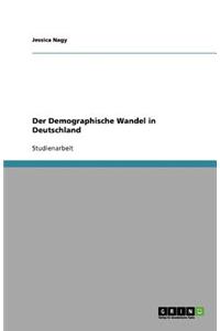 Der Demographische Wandel in Deutschland. Ein Überblick