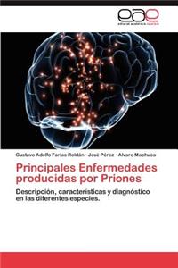 Principales Enfermedades Producidas Por Priones