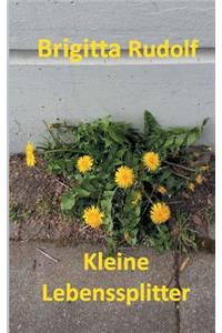 Kleine Lebenssplitter