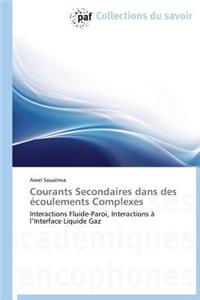 Courants Secondaires Dans Des Écoulements Complexes