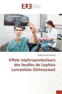 Effets Néphroprotecteurs Des Feuilles de Lophira Lanceolata (Ochnaceae)