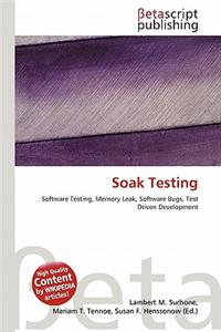 Soak Testing