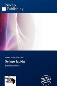 Selago Lepida