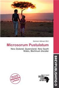 Microsorum Pustulatum