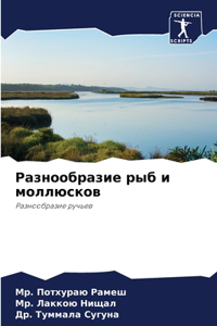 Разнообразие рыб и моллюсков