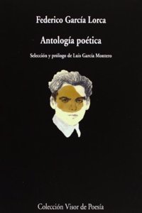 Antologia Poetica: Seleccion Luis Garcia Montero