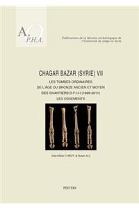 Chagar Bazar (Syrie) VII