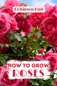 How to Grow Roses