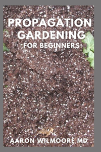 Propagation Gardening for Beginners