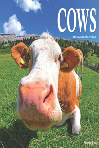 Cows: 2021 Calendar