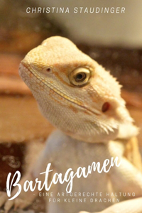 Bartagamen - eine artgerechte Haltung für kleine Drachen