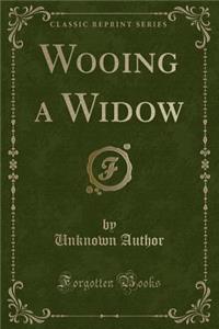 Wooing a Widow (Classic Reprint)