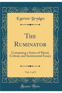 The Ruminator, Vol. 1 of 2: Containing a Series of Moral, Critical, and Sentimental Essays (Classic Reprint)